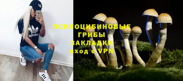 меф Козельск